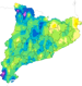 Agost 2025 IPE 12 mesos